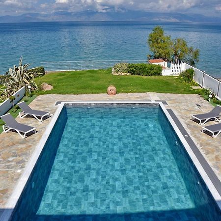 Antorina Beachfront Villas With Private Pools Kamari  Eksteriør billede
